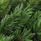 24" Lush Mixed Pine Artificial Christmas Wreath